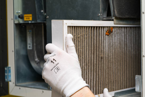 Best Air Duct Sanitizing Services  in Summersville, WV