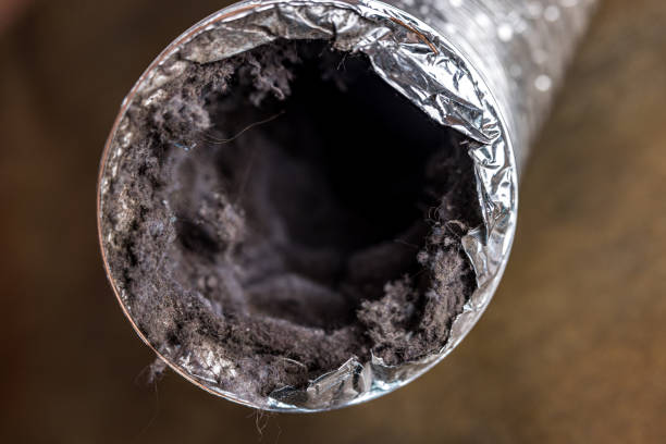 Best HVAC Duct Inspection Services  in Summersville, WV