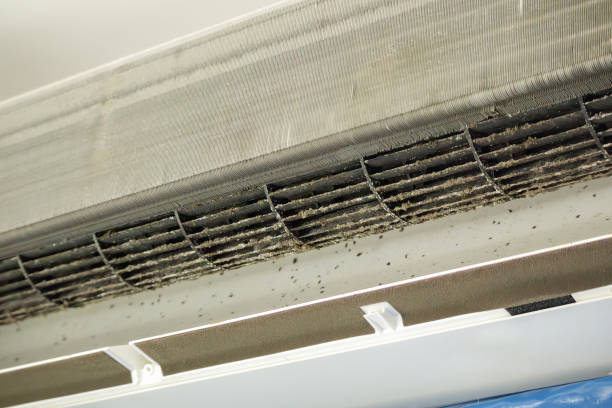 Best Air Duct Cleaning Near Me  in Summersville, WV